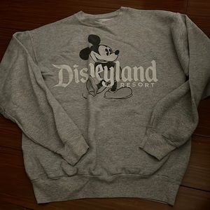 grey disneyland sweatshirt